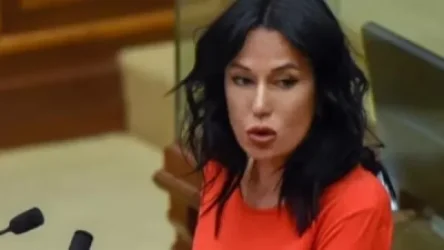 Մի հատ մի՛ ալարեք, ճշտեք, թե էդ ուսապարկերի մեջ քանի՞ թուրքական գործակալ կա. Նաիրա Զոհրաբյանը՝ ԱԱԾ-ին