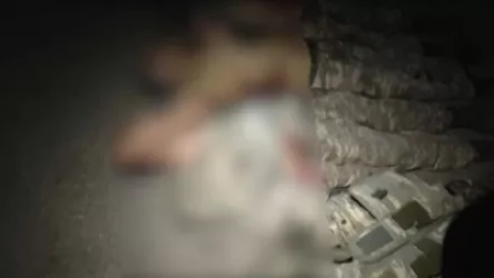 Ոչ, ադրբեջանի կողմից իրենց դիակները տարհանելու խնդրանք չունենք. Հովհաննիսյան