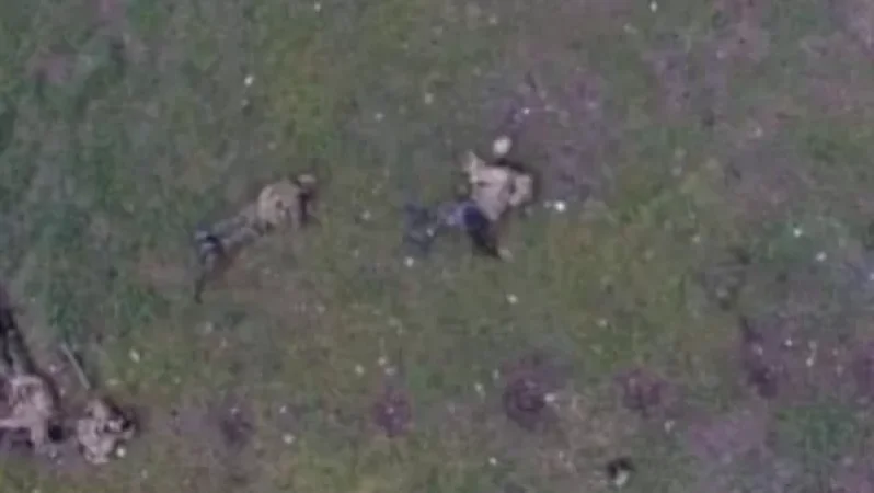 830 սպանված, 4 «Սու-25» ինքնաթիռ, 3 «Մի-24» ուղղաթիռ, 17 ԱԹՍ. հակառակորդի կորուստները