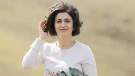 Հայկական ՀՕՊ ուժերը Արցախի հարավարևելյան ուղղությամբ  խոցել են հակառակորդի ինքնաթիռ և երկու ԱԹՍ․ ՊՆ խոսնակ