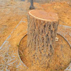 ՏԵՍԱՆՅՈՒԹ. Տենց էլ քաղաք եք կառավարում, սրանից, նրանից լսած, կիսատ պռատ գաղափարնեդով.  Քրիստինա Վարդանյան