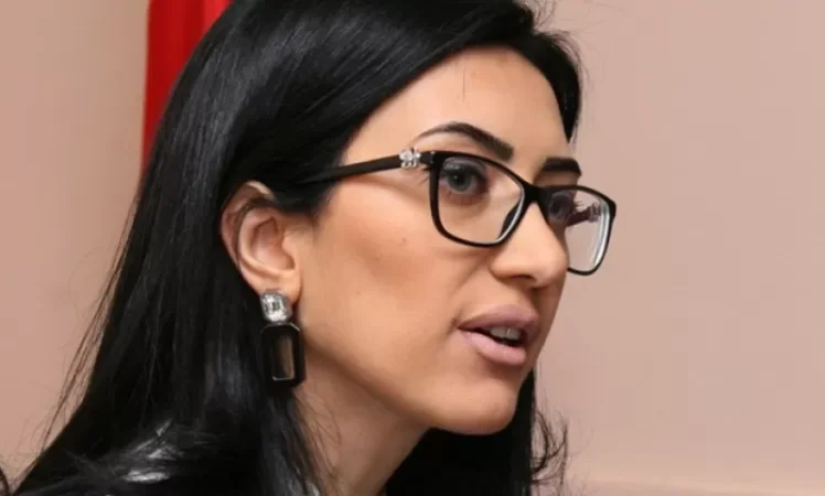 Արփինե Հովհաննիսյանի հորդորը Դավիթ Անանյանին