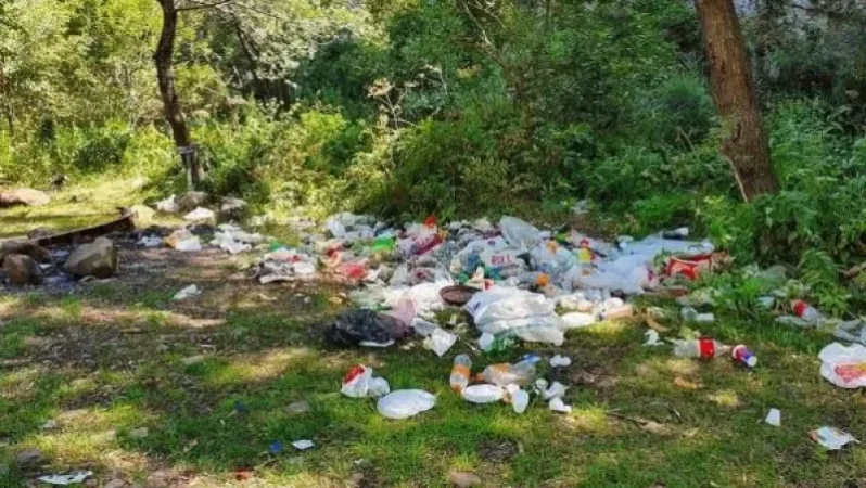 Թռչկանն այսօր… այսպես չեն սիրում երկիրը. Աշոտ Սարգսյան