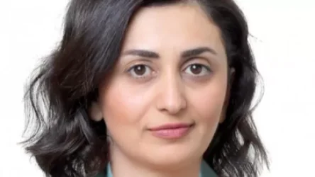 Սա ադրբեջանական կողմի հուսահատական ջղաձգումների հերթական արգասիք է. ՀՀ ՊՆ խոսնակ