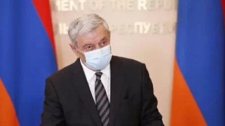 Այս պահին չկա օդային տագնապի ազդանշան տալու անհրաժեշտություն. Ֆելիքս Ցոլակյան