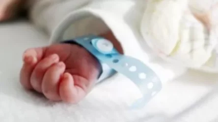 Սյունիքում «Զանգեր» կոչվող հատվածում գտնվող անտառում հայտնաբերվել է նորածնի դի