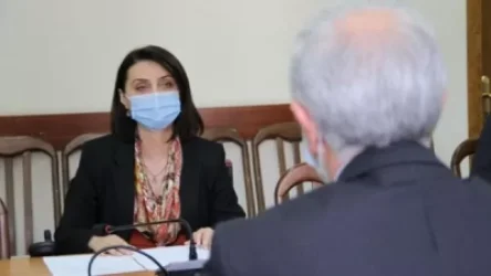 Զարուհի Բաթոյանն ընդունել է ՀՀ-ում Իրանի դեսպանին