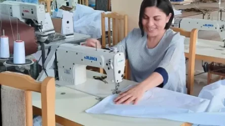 Նախարար Լուսինե Ղարախանյանն է. Արայիկ Հարությունյանի գրառումը