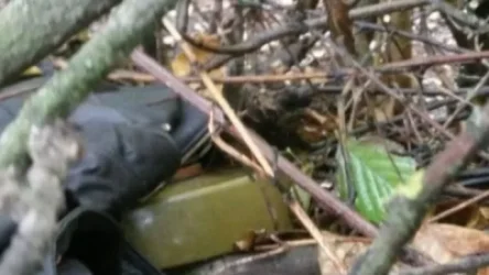 Այգեհովիտ գյուղի «Վարդի թաղ» կոչվող թաղամասում հայտնաբերվել է չպայթած ական