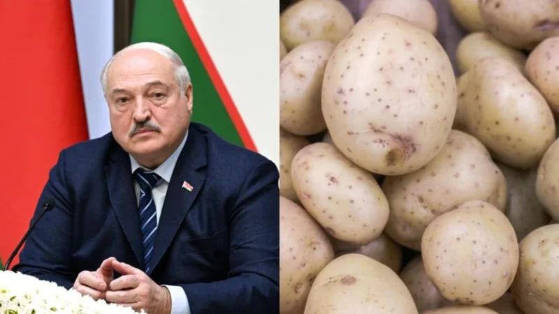 Բելառուսը հերթական անգամ ի ցույց է դնում խաղաղասիրությունը. կառավարություն