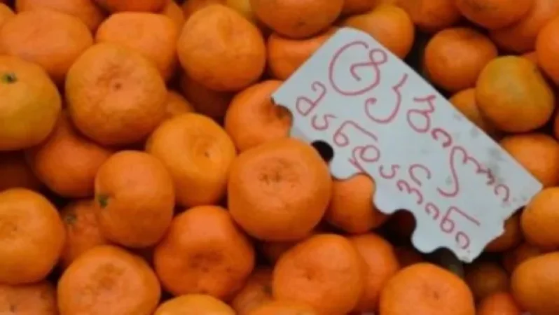 Վրաստանից մանդարինի 80 տոկոսը Հայաստան է արտահանվել