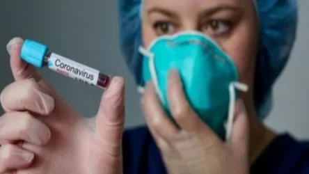 Հնարավորության դեպքում անցնեք հեռավար ռեժիմի. Գայանե Սահակյանի հորդորը՝ գործատուներին