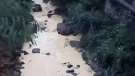 ՏԵՍԱՆՅՈՒԹ. Դեբեդի ջրերին են խառնվում հին, լքված հանքերի և պոչամբարների թափոնները. բնապահպանն ահազանգում է