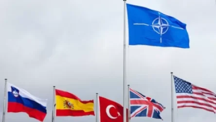 Երբ Վրաստանը կանդամակցի ՆԱՏՕ-ին