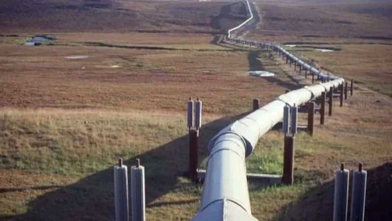 Բացարձակ սուտ է. Հայաստանը չի թիրախավորել է Բաքու-Նովոռոսիյսկ նավթամուղը. Շուշան Ստեփանյան