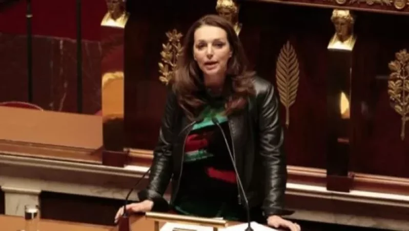 Ֆրանսիայի Սենատի պատգամավորը Սենատում կներկայացնի Լեռնային Ղարաբաղի ճանաչման անհրաժեշտությունը