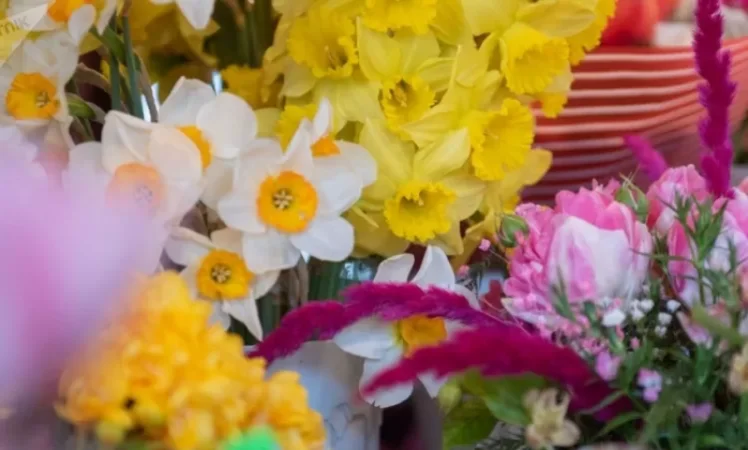 Երիտասարդները բռնվել են ծաղկի խանութից գողություն կատարելիս