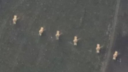 Թշնամական ուժերը կիրառում են նաև չեխական 152 մմ տրամաչափի DANA ինքնագնաց հրետանային կայանքներ.ՊԲ