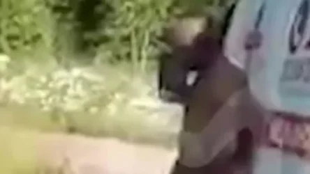 ՏԵՍԱՆՅՈՒԹ․ Ռուսաստանում տղամարդը բենզին է լցրել իր և սիրելիի վրա, ապա հրկիզել