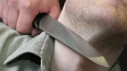 Դանակը դրել է ոստիկանի վզին, մյուսը՝ փորձել քարով հարվածել. ձերբակալվել են