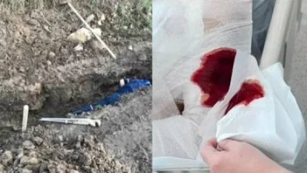 Կրակելու հրահանգը իջեցրել է անձամբ Իլհամ Ալիևը, նա այս պահին Շուշիում է. Հոխիկյան