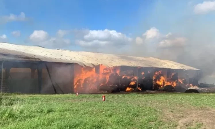 Խոշոր հրդեհը Շվեդիայում 100 հազար հավ է ոչնչացրել