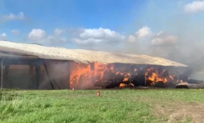 Խոշոր հրդեհը Շվեդիայում 100 հազար հավ է ոչնչացրել