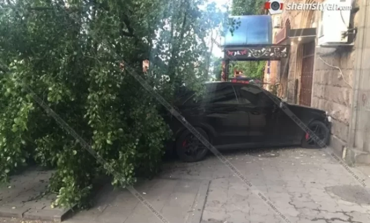 Երևանի Խանջյան փողոցում 28-ամյա վարորդը տապալել է ծառն ու բախվել պատին