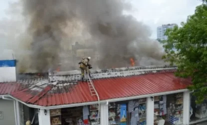 Հրդեհ Ղրիմի դելֆինարիումում. դելֆինները չեն տուժել