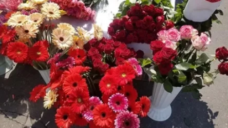 Ծաղկի գները 2-2.5 անգամ նվազել են. ՏՄՊՊՀ