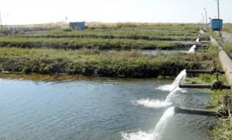 Ոռոգման ջուրը չի թանկացել. պարզաբանում Ջրային կոմիտեից