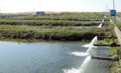 Ոռոգման ջուրը չի թանկացել. պարզաբանում Ջրային կոմիտեից