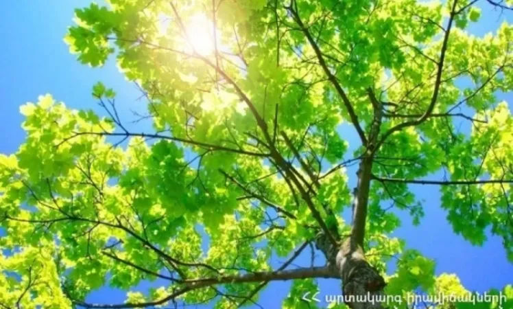 Հունիս ամսվա եղանակային կանխատեսումը