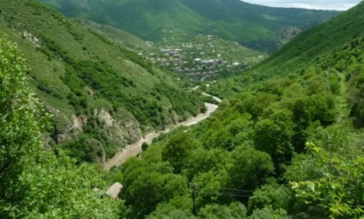 20 պաշտոնատար անձ որպես մեղադրյալ է ներգրավվել «Դիլիջան Ազգային Պարկ»-ում  անտառահատումների քրգործով