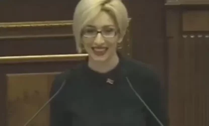 ՏԵՍԱՆՅՈՒԹ. NO COMMENT. պատգամավորի ելույթը ԱԺ-ում