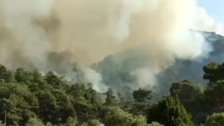 Հրդեհ՝ Թուրքիայի «Ակկույու» ատոմակայանին հարակից անտառում