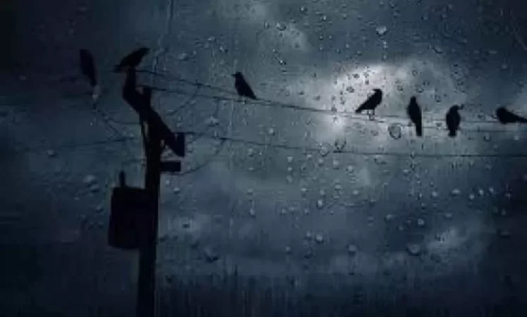 Եղանակը վաղը և առաջիկա օրերին