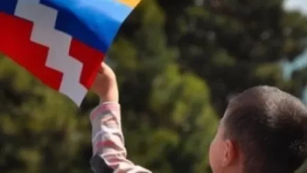 Երևանաբնակ տղաները «կրակելուց» գոռում են՝ «մոնստըռները էկան, մոնստըռները, կրակեք», իսկ Արցախաբնակները՝ «թո՛րքը կյամա, թո՛րքը, թխե՛». Մելիքյան