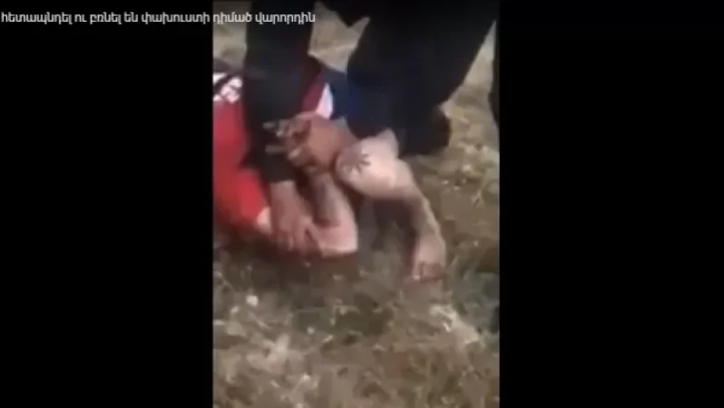 VIDEO: 28-Year-Old Driver Hits Police Patrol Car and Flees the Scene