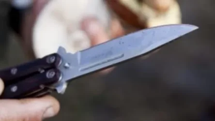 Երևանում 56-ամյա տղամարդը դանակով հարվածել է կնոջ գլխին