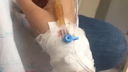 Թունավորում ռեստորանում հարսանիքից հետո․ քաղաքացիների ահազանգը