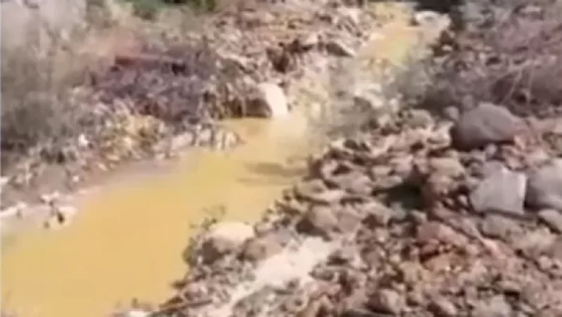 Օրենքից դուրս են մնում նաև հետհեղափոխական Հայաստանում. ՀԲՃ