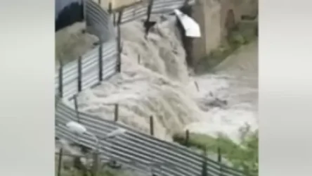 ՏԵՍԱՆՅՈՒԹ․ Թբիլիսիի Վաշլիջվարի շրջանը հեղեղվել է