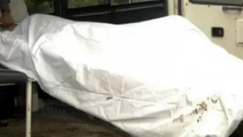 Գառնիում տղամարդն ծառից ընկնելու հետևանքով մահացել է