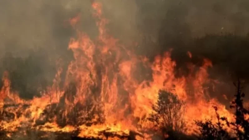 Խոշոր հրդեհ` Սարի թաղում