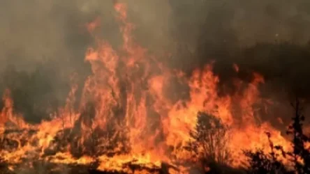 Խոշոր հրդեհ` Սարի թաղում