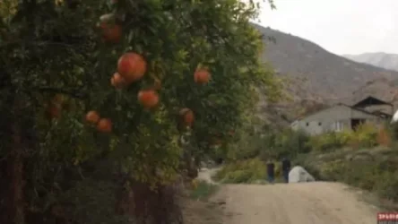 ՏԵՍԱՆՅՈՒԹ. Նռնաձոր. պատերազմի թիկունքում գտնվող գյուղը