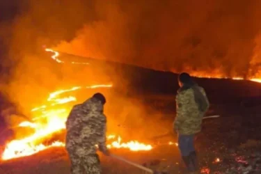 Դիլիջանում մեկուսացվել է Նավուրի օջախը․ հրդեհաշիջման աշխատանքները շարունակվում են․ ՆԳՆ