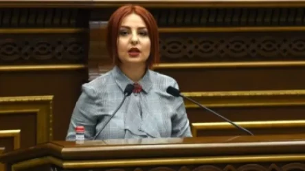 Վաղը քննարկվելիք կարանտինյան նոր օրենքը մեզ կարող է վեց ամսով առանց դադարի կապկպել տուգանքներով. Անի Սամսոնյան