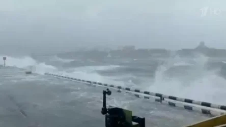 ՏԵՍԱՆՅՈՒԹ. ՌԴ-ում «Մայսակ» թայֆունը խլել է 3 մարդու կյանք, կա 55 վիրավոր